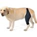 ifundom Comfy Brace Dog Knee Comfortable Dog Knee Protector Front Legs The Dog Auxiliary Belt S As Shown - Buy Online on GoSupps.com