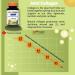 Red Maple Naturals Joint Collagen 500mg (BioCell Collagen & Vitamin D3) 60 Capsules - Buy Online on GoSupps.com
