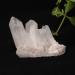 Beautiful Crystal 1PC Natural White Crystal Cluster Irregular Quartz ReikiStone Crystal Point Specimen Home Decoration Crystal Natural Stones (Color : Crystal Cluster Size : 80 120g) 80 120g Crystal Cluster