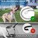Buy Etechydra Retractable Dog Leash - Durable Anti-Bite Steel Chain 5m Nylon Strap for Medium to Large Dogs - Blue - Buy Online on GoSupps.com