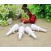 4PCS 10ML Brown Glass Nasal Spray Bottles - Refillable and Portable - Buy Online on GoSupps.com