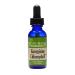 Birth Song Botanicals Energizing Chlorophyll Tincture, Super Concentrated Liquid Chlorophyll Drops, Herbal Energy Support Supplement and Internal Deodorizer, Mint Flavor 1oz Bottle