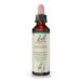 Original Bach Flower Drops No. 1 Agrimony: Open up and show true feelings with the Bach Flower Agrimony 20ml
