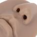 Soft Silicone Nose Model 3pcs Flexible Silicone Nose Model. With Mouth for Adult School (Dark Skin Color) - Buy Online on GoSupps.com