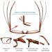 Yuluki 4 Pack Reading Glasses Blue Light Blocking Quality Rectangle Frame Mens Womens Computer Readers with Spring Hinge +4.0 4 Pack Mix 4.0 x - Buy Online on GoSupps.com