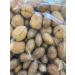 Nut mix in Shell Walnuts and Pecan Nuts Premium Raw whole nuts (1) 1.0 Kilograms