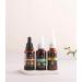Bee & You Propolis Must-Have Package - 20% Propolis Drops 5% Nasal Spray 6% Neck Spray for Kids | Fair Trade No Additives | 30ml Combo Set (3 Pack) - International Shipping Available - Buy Online on GoSupps.com