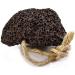Natural Volcanic Lava Pumice Stone for Callus and Foot Pedicure - Single Pack - Buy Online on GoSupps.com