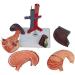 6 Parts Liver Gallbladder Pancreas Spleen Stomach Pancreas Gallbladder Model Human Life Size Liver Pancreas and Duodenum Simulation Model Anatomy Type - Buy Online on GoSupps.com