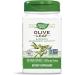 Nature's Way Olive Leaf Health Supplement 100 Count Natural 100 Count (Pack of 1) - Buy Online on GoSupps.com