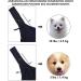 Cuby Adjustable Pet Carrier Sling for Small Dogs & Cats Travel Bag with Double Ring Shoulder Strap (Blue) - Compact & Convenient - Buy Online on GoSupps.com