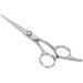 Haircut Scissors Stainless Steel Portable Beard Hair Dressing Styling Flat Scissors Shears for Unisex - Buy Online on GoSupps.com
