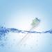 WuYan Toothbrush Brush Heads - Compatible Replacement Heads for Superior Oral Care | International Shipping Available - Buy Online on GoSupps.com