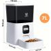 WOPET Automatic Cat Feeder Timed Dog Feeder Pet Food Dispenser with Desiccant Bag for Dry Food Programmable Portion Control & Voice Recorder for Small / Medium Pets White - Buy Online on GoSupps.com