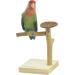 GUANLANT Natural Wood Bird Stand Feeder Toy - Tabletop Portable Parrot Perch Playstand with Feeding Bowl and Treats - Ideal for Parakeets, Conure, Budgies, Lovebirds - Buy Online on GoSupps.com