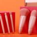 rongweiwang Powder Blusher Brush Mirror Box - For Flawless Makeup Application On Go Multi-functional Makeup Brush Makeup Brush Set Fluorescent Green - Buy Online on GoSupps.com