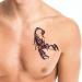 3D Scorpion Temporary Tattoos - Fashionable & Waterproof Body Art Stickers for Men, Women, Teens, Boys, and Girls - Buy Online on GoSupps.com