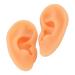 ZJchao 2-Pack Soft Silicone Ear Models for Acupuncture Training | Flexible Ear Anatomy for Doctors & Hospitals - International Shipping Available - Buy Online on GoSupps.com