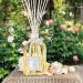 Buy Dr. Vranjes Crystal Room Diffuser 250ml - Petali di Rose | Luxury Fragrance for Home | International Shipping Available - Buy Online on GoSupps.com