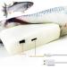 BangShou 2 Pieces Electric Moving Fish Cat Toy with Catnip - Interactive Realistic Flapping Wagging Fish for Kitten - Buy Online on GoSupps.com