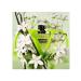 Valentino Donna Born In Roma Green Stravaganza for Women - 1.7 oz EDP Spray Floral & Fresh Fragrance - Buy Online on GoSupps.com