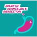 Gaviscon Double Action Heartburn & Indigestion Mint Flavour Sachets 24x10ml Pack of 48 - Buy Online on GoSupps.com