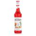 Monin Orange Spritz Sirup 70Cl