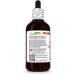 Black Cohosh (Cimicifuga Racemosa) Dry Root Glycerite Made in Hawaii Organic Raw Materials All Natural Vegan Lab Tested Alcohol-Free Liquid Extract - 4 fl.oz 4 Fl Oz (Pack of 1) - Buy Online on GoSupps.com