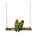 Nynelly bird swing for pets parrots-cage toys natural wood swing toys for parasites nymphensittish paramount paramount paramedic parching parallel canaries canary
