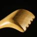 Buy Healifty Wooden Back Scratcher - Long Handle Self-Therapeutic Back Massage Device for Home & Travel | Fast International Shipping - Buy Online on GoSupps.com