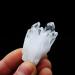 Natural Clear White Quartz Crystal Cluster Geode Gemstones Raw Specimen Home Decor ningxiao 2-3cm