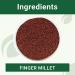 B&B Organics Finger Millet (Ragi) 500g - Gluten Free Indian Millet | USDA Certified - Buy Online on GoSupps.com