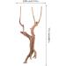 POPETPOP Aquarium Driftwood Branches- 3pcs Aquarium Driftwood for Reptiles Freshwater Terrarium Decor Reptile Tank Accessories Spiderwood for Aquarium - Buy Online on GoSupps.com