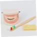 3 Sets of Early Dental Education Toys for Toddlers | Role Play Brushing Toys | Reusable Fun - Buy Online on GoSupps.com