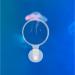 POPETPOP Aquarium Magnifier Acrylic Fish Tank Viewer Fish Tank Magnifying Glass Small Animal Magnifier with Suction 3.5cm - Buy Online on GoSupps.com