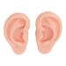 Artificial Ear Model Easy Use Silicone Ear Model Reusable Widely Used Soft for Ear Piercing Exercise (Light Skin Color)
