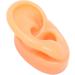 Silicone Fake Acupuncture Ear Model - Waterproof & Flexible for Earrings Display (Right) - Buy Online on GoSupps.com