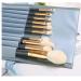 10-Piece Blue Makeup Brush Set for Beginners | Soft Hair Eye Shadow Powder & Foundation Brushes - Buy Online on GoSupps.com