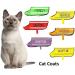 Dexil Colour Coded Cat Harness Warning Alert Vest Padded and Water Resistant Red CAUTION (S-M) Small-Medium Red CAUTION - Buy Online on GoSupps.com