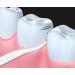 Floss Gang High Strength Professional Flossing Sticks - 300 Sticks Carrying Bag & Fin Sticks | Perfect for Home Hotel & Travel - Buy Online on GoSupps.com