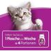 WHISKAS Cat Milk 200ml - Supplementary Feed for Cats & Kittens Over 6 Weeks | International Shipping Available - Buy Online on GoSupps.com