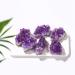 Meditation Home Natural Quartz Amethyst Cluster Healing Stones Specimen Home Decoration Crafts Purple Crystal Mineral Sample 1Pcs Crystal Cluster (Color : Crystsl Cluster Size : 30-40g) 30-40g Crystsl Cluster - Buy Online on GoSupps.com