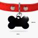 Ibera Gifts - Personalized Bone-Shaped Pendants for Medium to Large Dogs & Cats | Custom Engraved Dog Collars | Black Paws Design - Buy Online on GoSupps.com