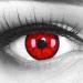 Meralens 1 pair of colored red black crazy fun metatron year contact lenses.Top quality for Halloween Carnival and Carnival with free contact lens containers without strength 12 month lenses in red 0.0 diopters 8.6 millimeters 14.00 millimeters 2.0