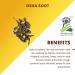 Osha root 100 GM | Promotes digestion - Buy Online on GoSupps.com