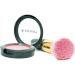 SHANY Paraben Free Powder Blush Vigorous - Buy Online on GoSupps.com