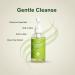 Bodylife Green Tea Facial Cleanser Gentle Makeup Remover with Tea Extract 6.76 fl oz Natural Cleansing Formula for All Skin Types - Buy Online on GoSupps.com
