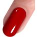 Vishine Brand Nail Varnish Gloss Polish 8ml Bottle UV Gel Polish Nail Manicure Lacquer #1343 1343-8ml - Buy Online on GoSupps.com
