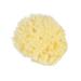 FOMIYES Natural Sponge Bath Shower Sponge Sponges for Bathing Honeycomb Sponge Shower Loufah Sponge Face Scrubber Disposable Face Sponges Bath Sponge Compressed Sponges Bath Ball Body Baby