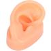 Buy Silicone Ear Model - Soft Simulation Hearing Tool for Display | Fleshcolor with Black Stand (Right Ear) - International Shipping Available - Buy Online on GoSupps.com